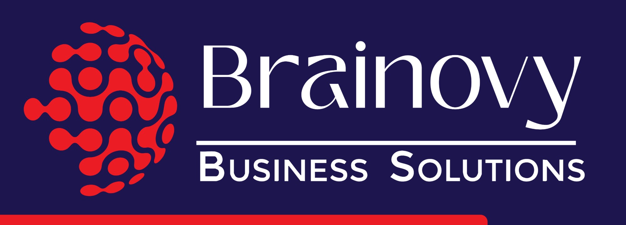 Brainovy Business Solutions Brainovy Business Solutions
