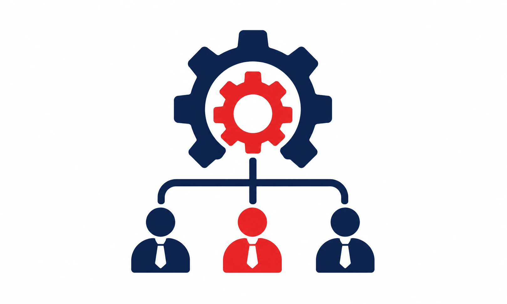 Operations & Organizational Management